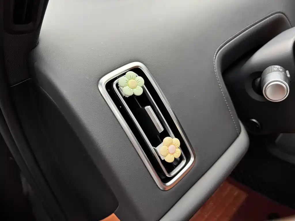 Li Auto L8 2023 — фото 12