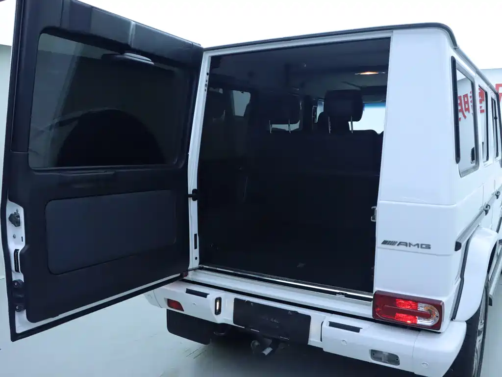 Mercedes-Benz G-Class 2015 — фото 20