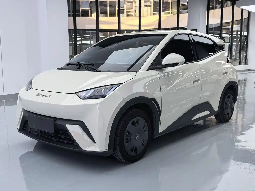BYD Seagull 2024