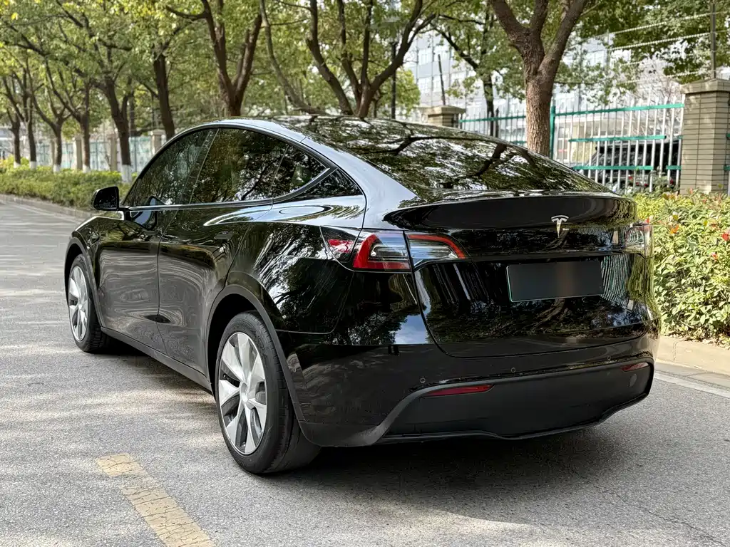 Tesla Model Y 2021 — фото 9