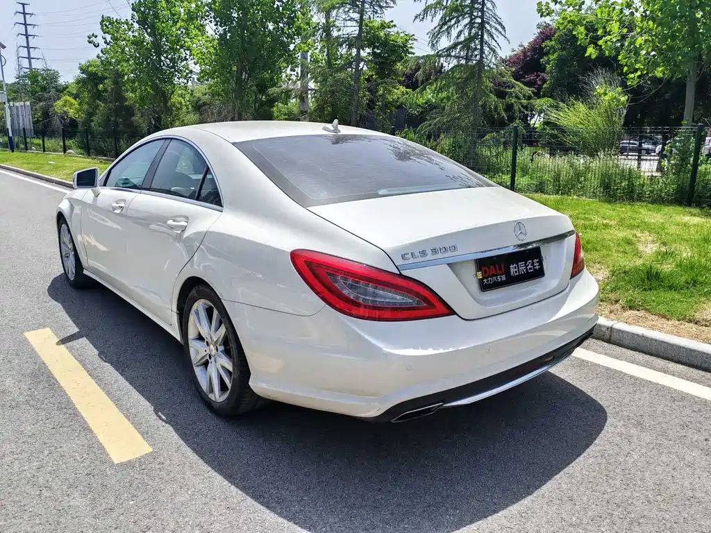 Mercedes-Benz CLS 2014 — фото 17
