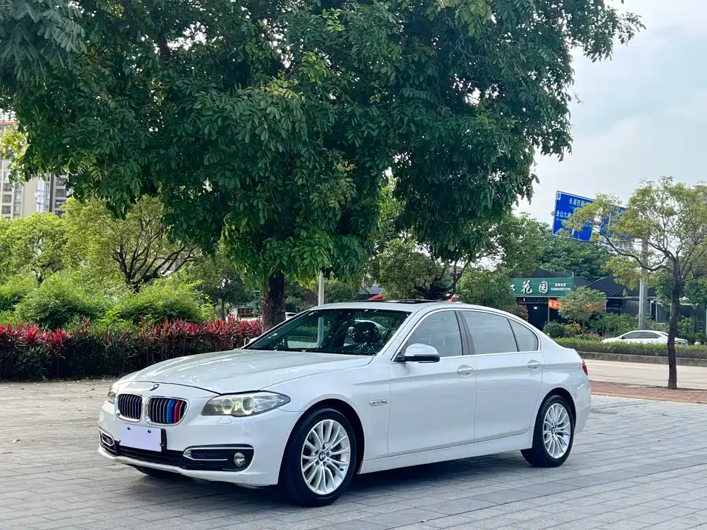 BMW 5 Series 2015 — фото 1