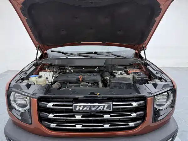 Haval Dargo 2021