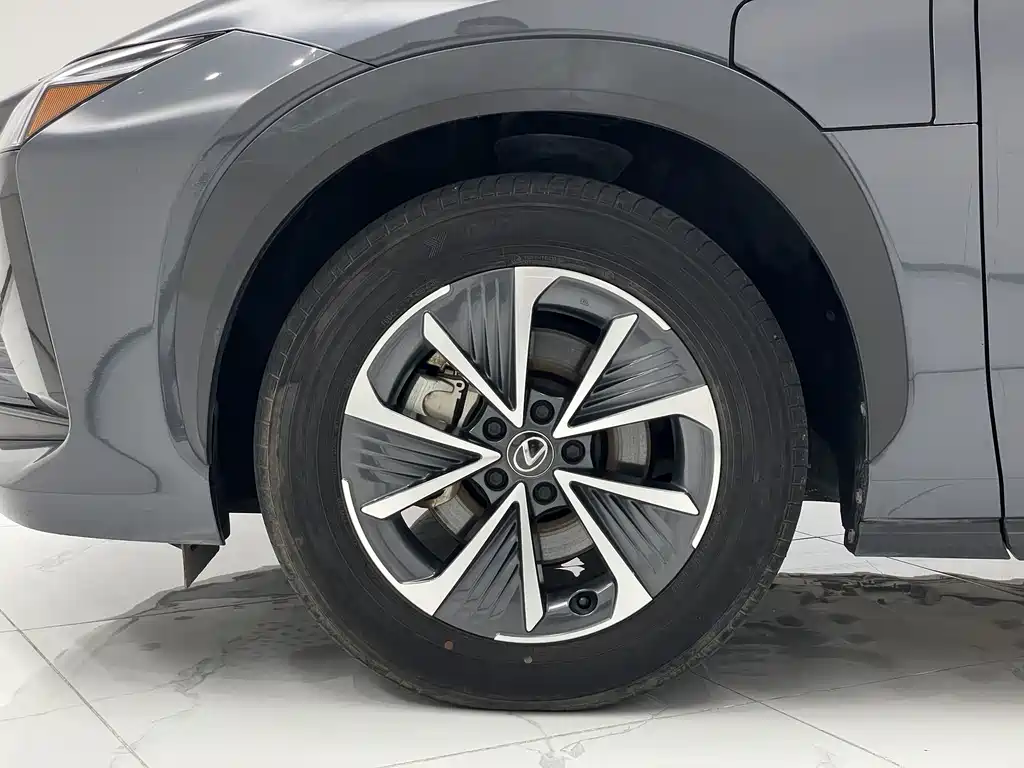 Lexus RZ 2023 — фото 21