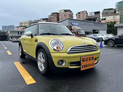 MINI MINI 2010