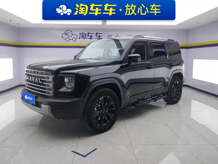Haval Menglong New Energy 2024