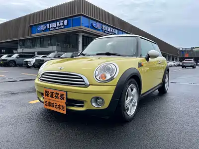 MINI MINI 2010