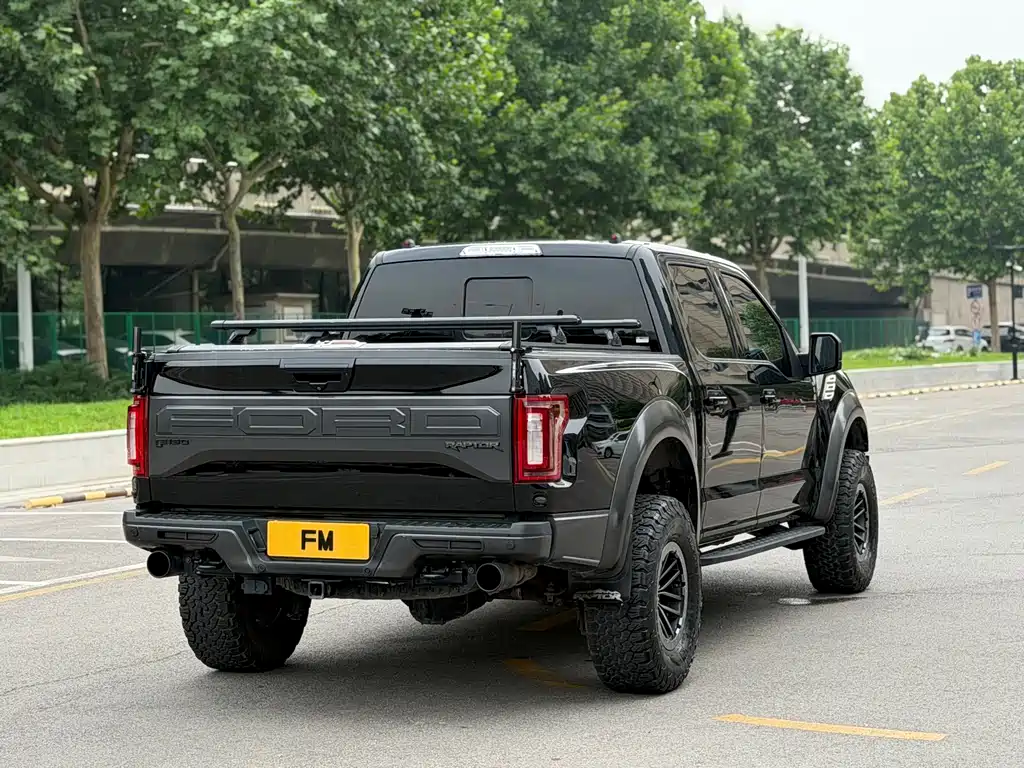 Ford F-150 Raptor 2018 — фото 15