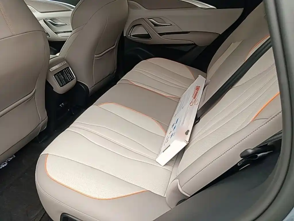 BYD Pro New Energy 2024 — фото 17