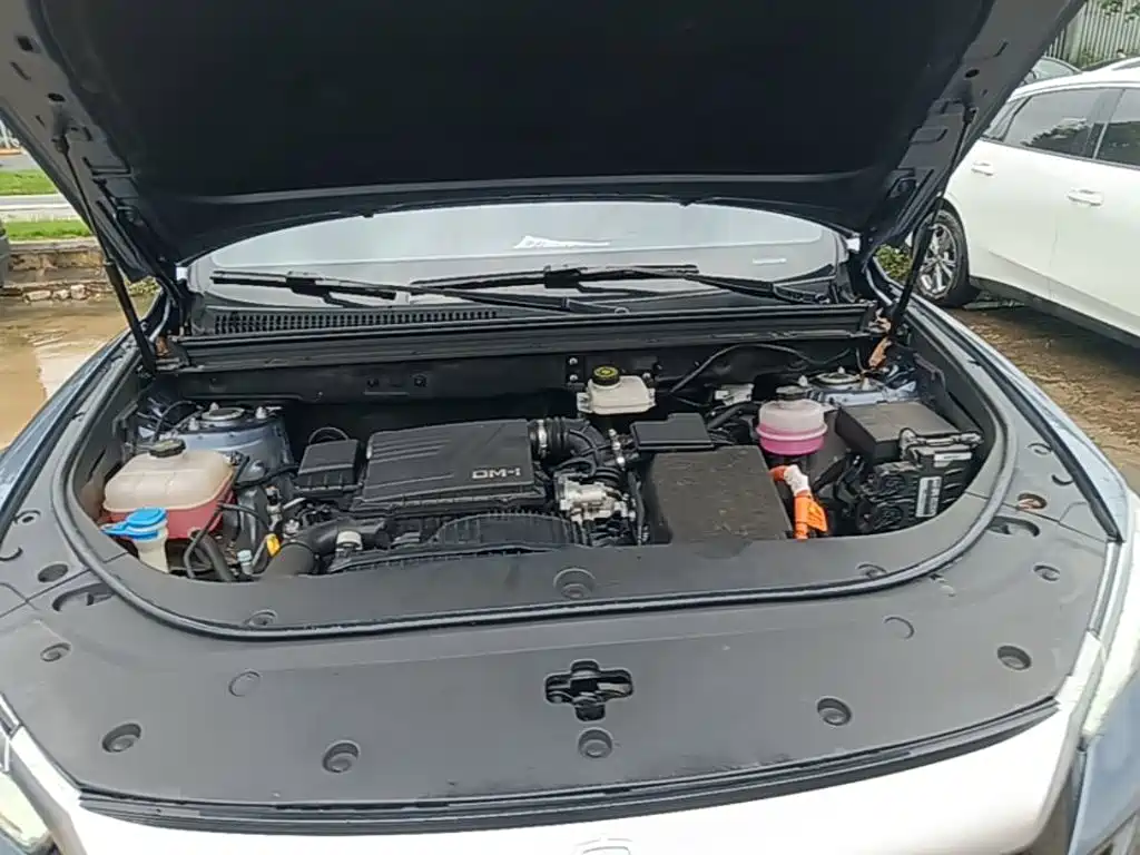 BYD Pro New Energy 2024 — фото 20