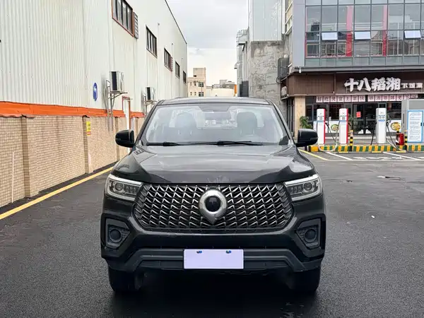 Great Wall Poer 2023