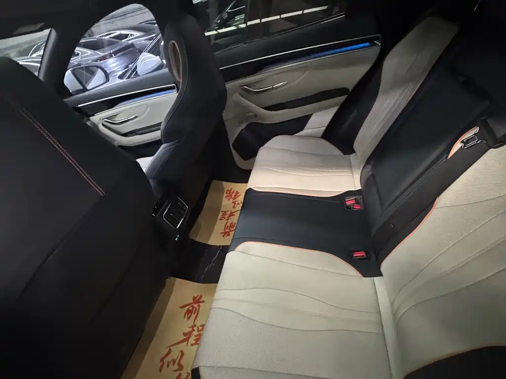 BYD PLUS New Energy 2023 — фото 24