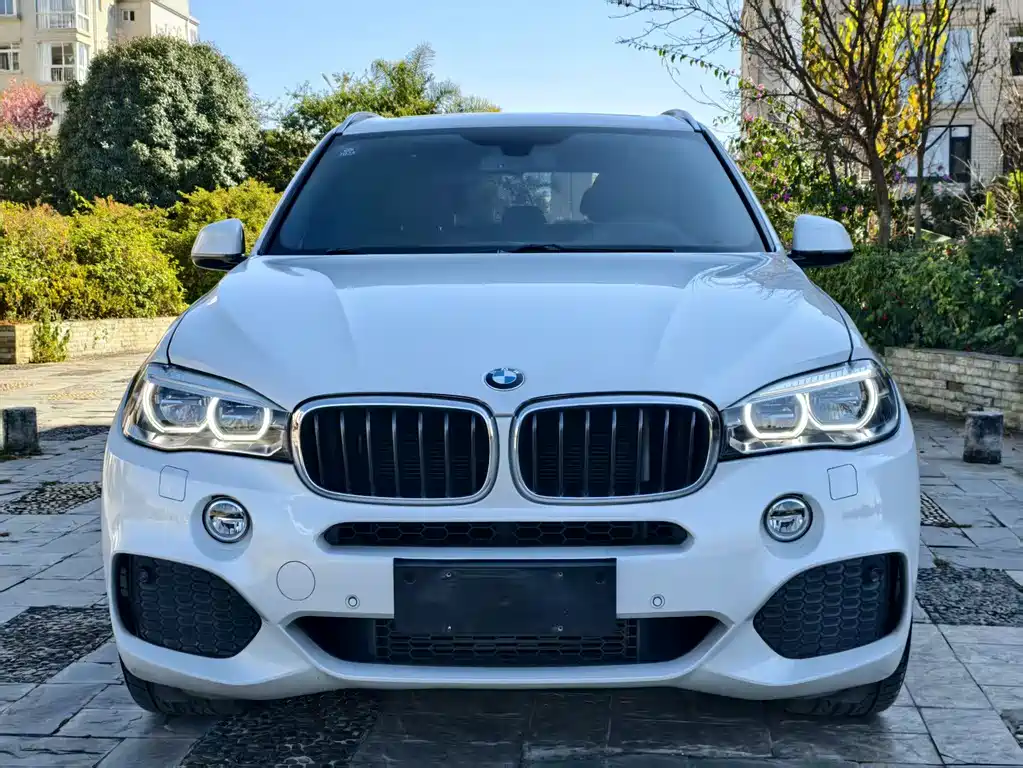 BMW X5 2018 — фото 2