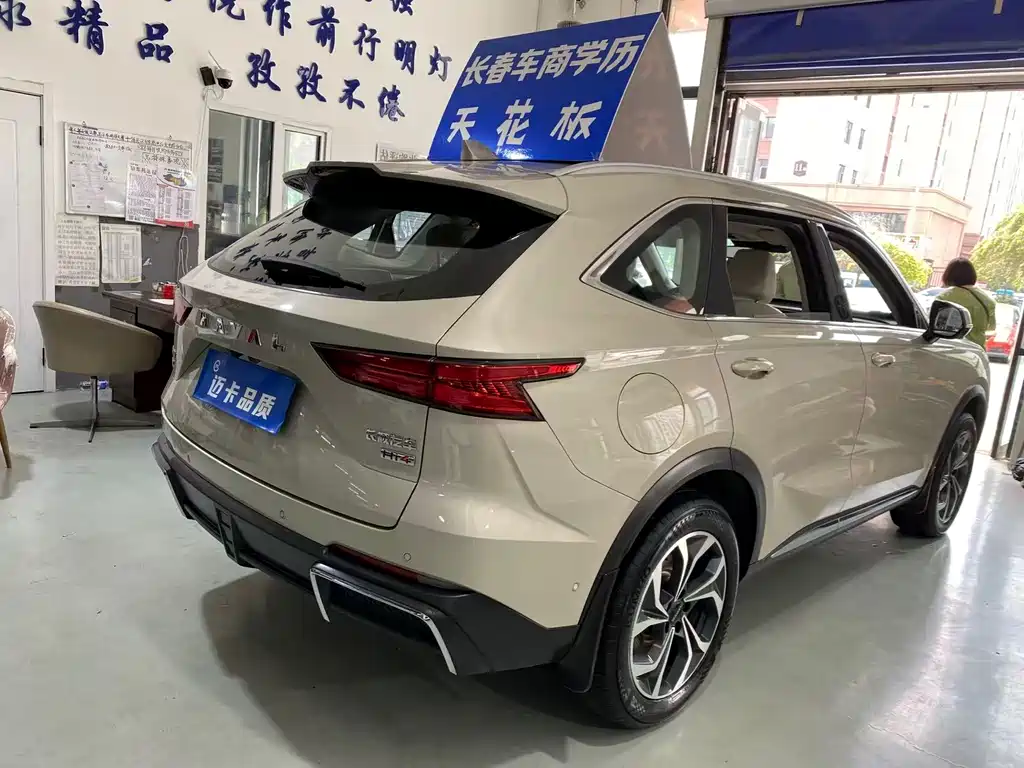 Haval Xiaolong MAX 2024 — фото 15