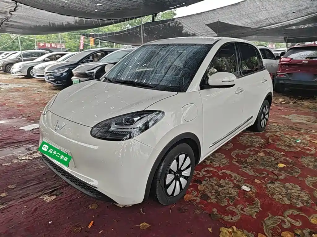 Wuling Bingo 2024