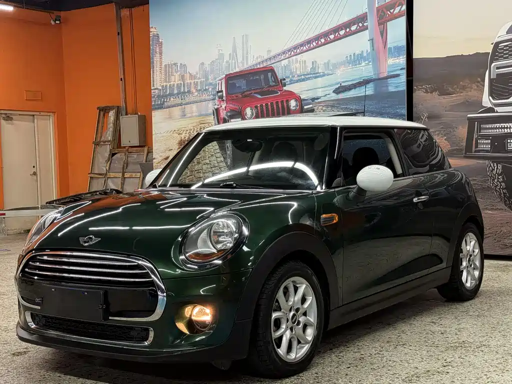 MINI MINI 2015