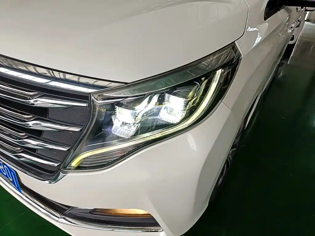 GAC Motor Trumpchi M8 2018 — фото 24