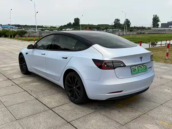 Tesla Model 3 2020