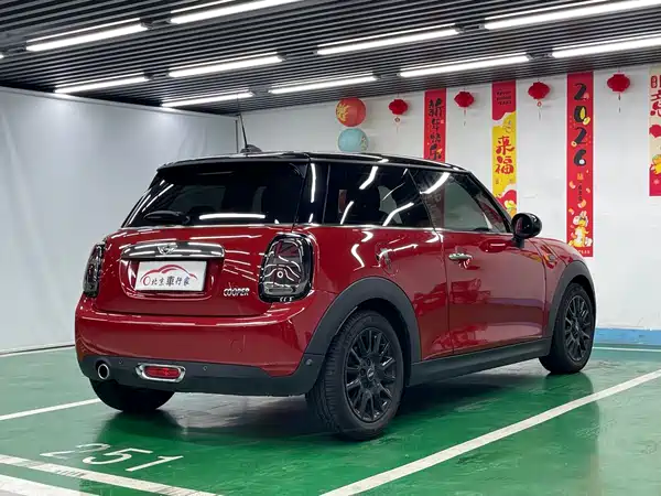 MINI 2018