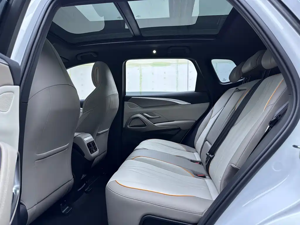 BYD Song Pro New Energy 2024 — фото 9