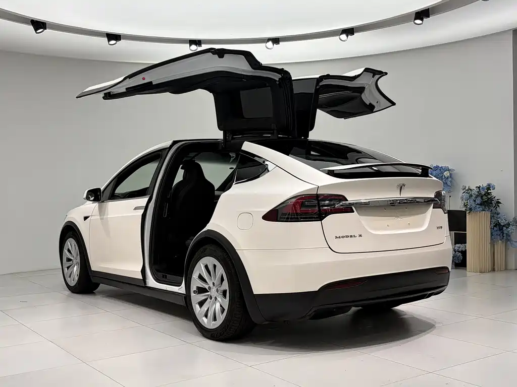Tesla Model X 2018 — фото 6
