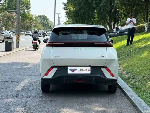 BYD Seagull 2024