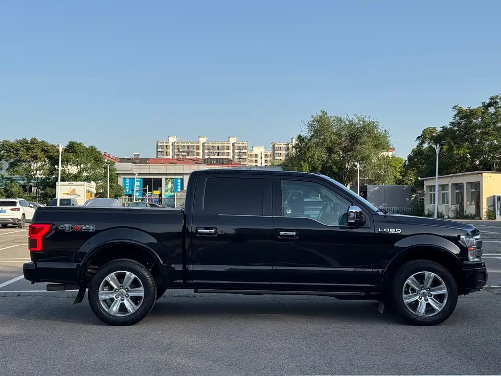 Ford F-150 Raptor 2020 — фото 9