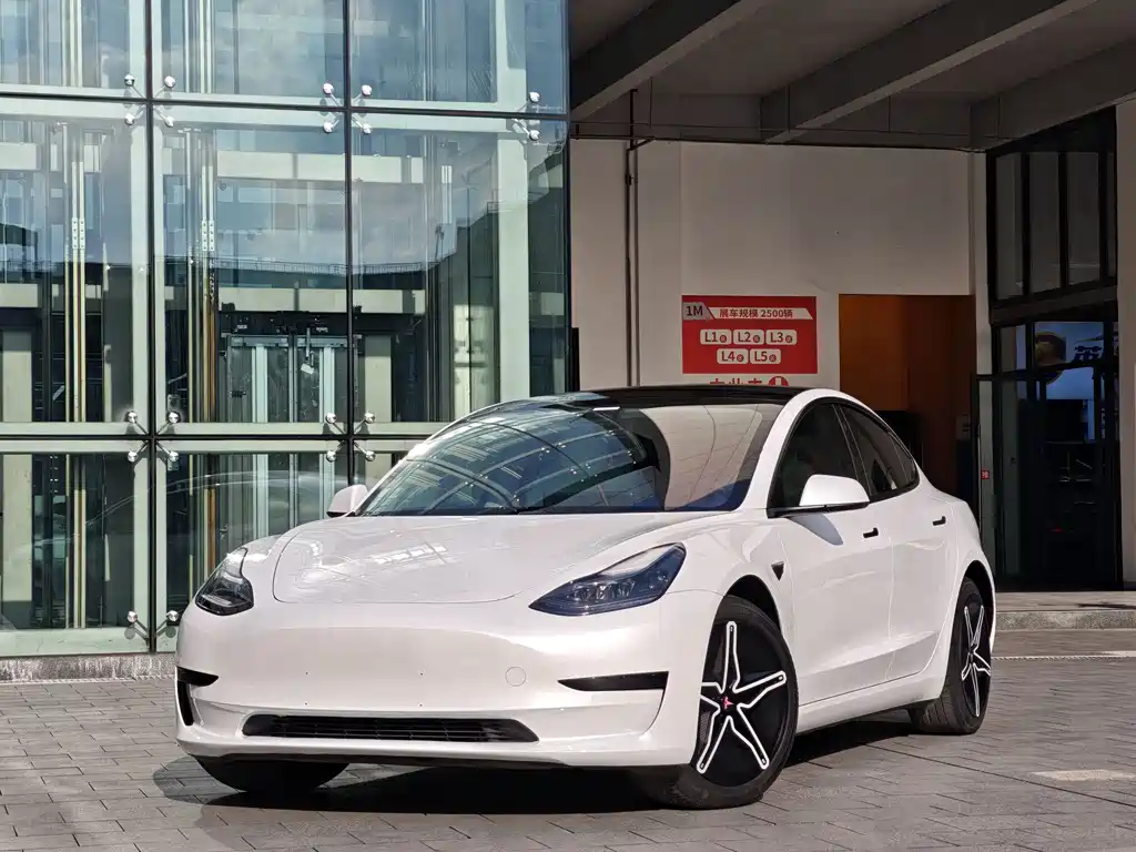 Tesla Model 3 2021 — фото 2