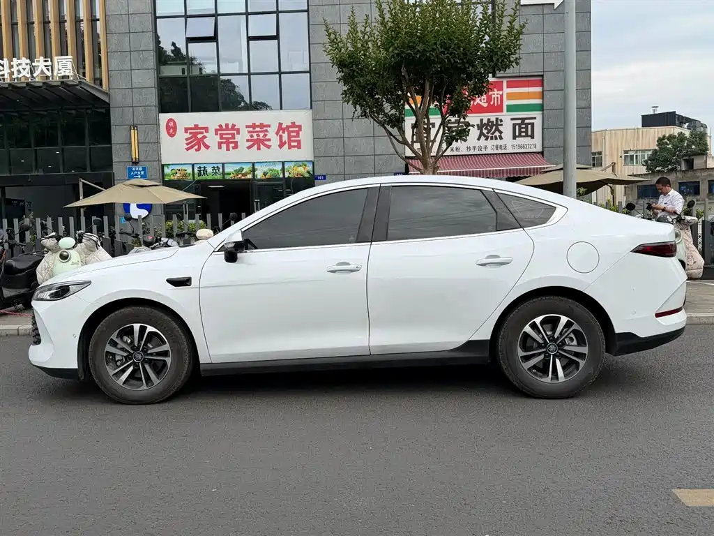 BYD Qin PLUS 2025 — фото 3