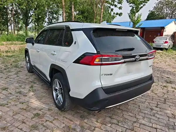 Toyota Wildlander 2020