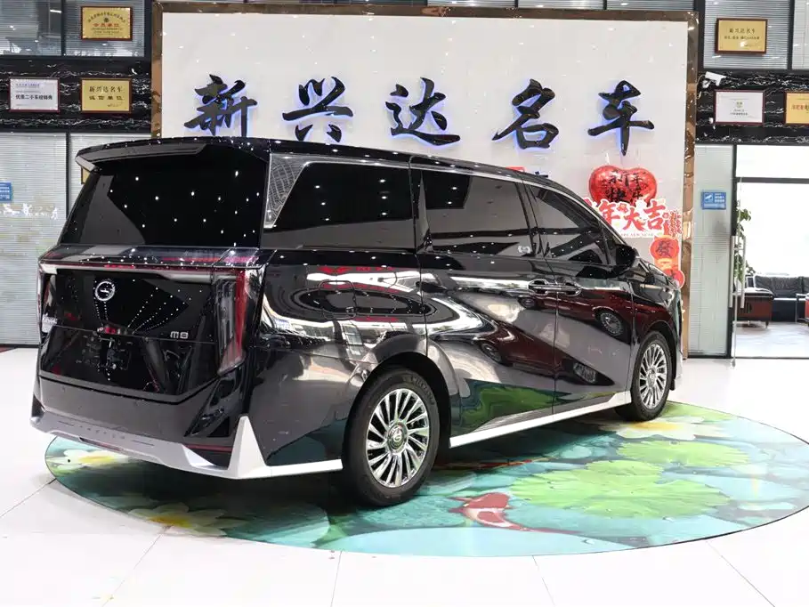 GAC Motor Trumpchi M8 2024 — фото 5