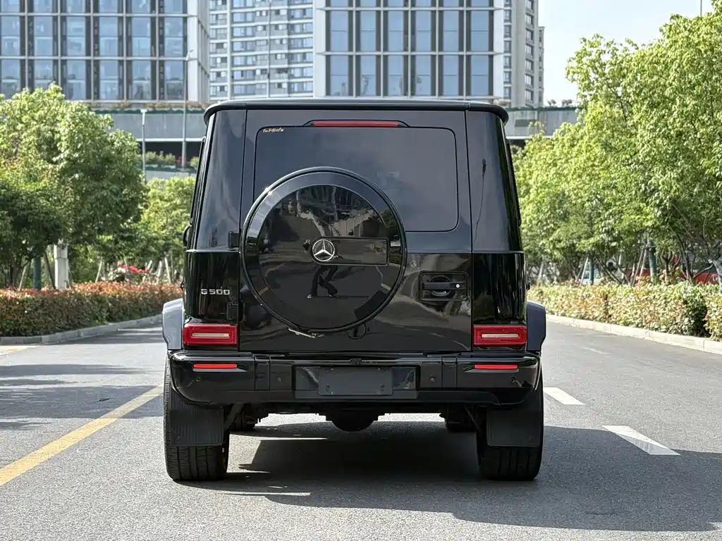 Mercedes-Benz G-Class 2019 — фото 20