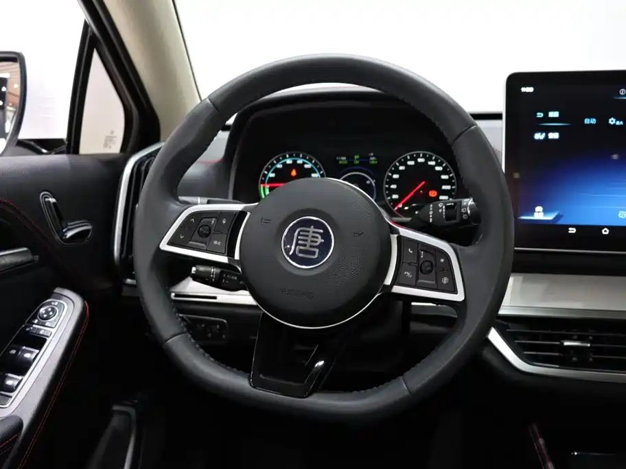 BYD Tang New Energy 2020 — фото 14