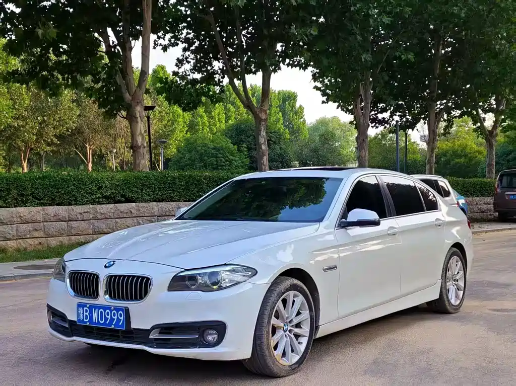 BMW 5 Series 2015