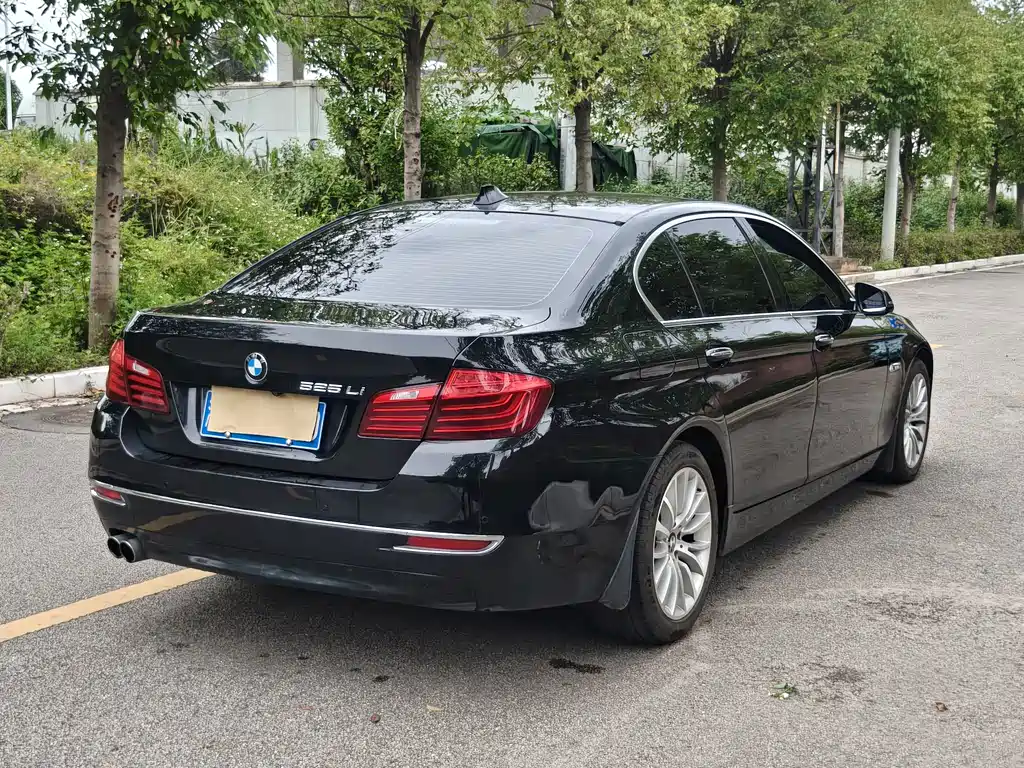 BMW 5 Series 2016
