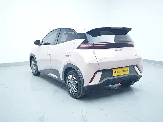 BYD Seagull 2024