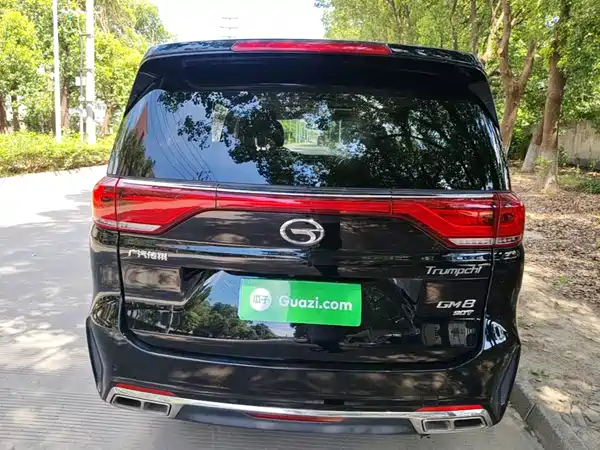 GAC Trumpchi M8 2020