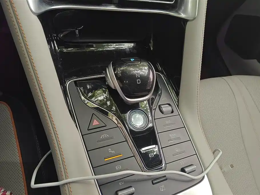 BYD PLUS New Energy 2023 — фото 16