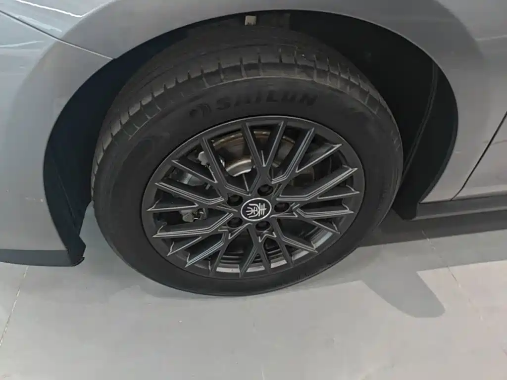 BYD Qin PLUS 2025 — фото 25