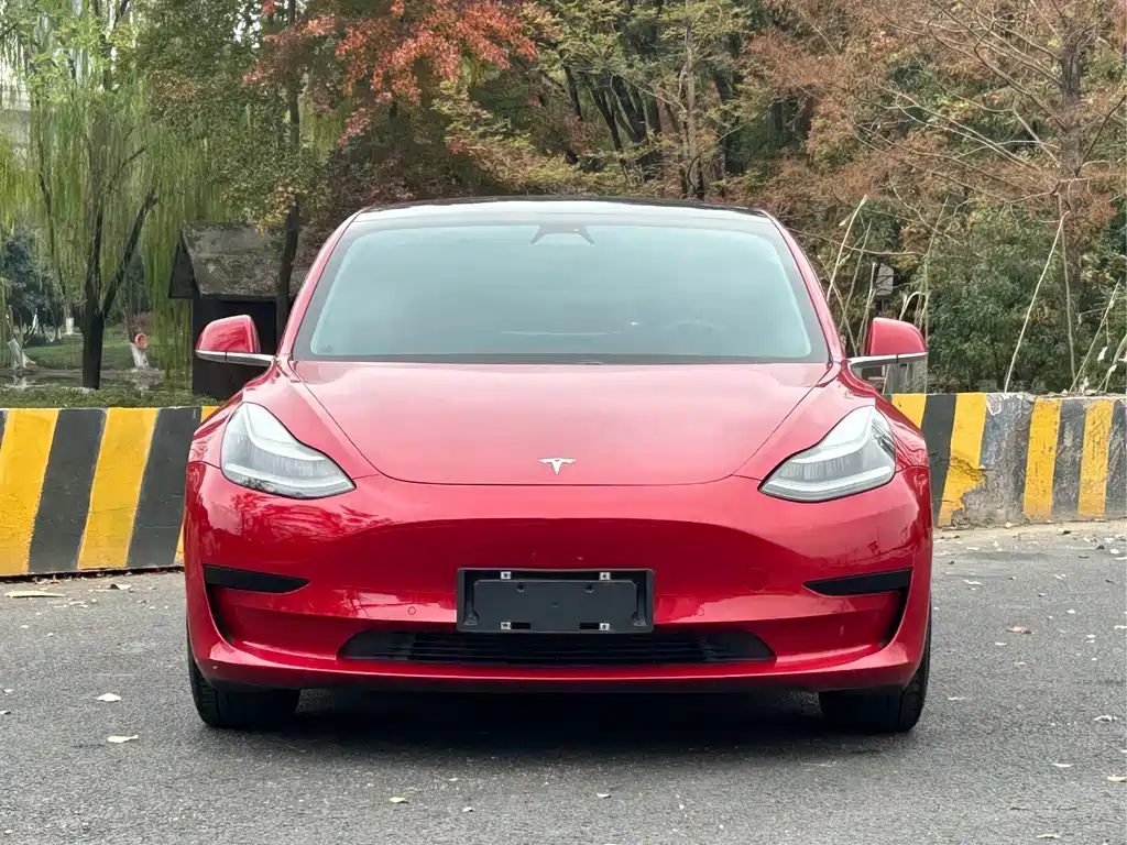 Tesla Model 3 2020 — фото 2