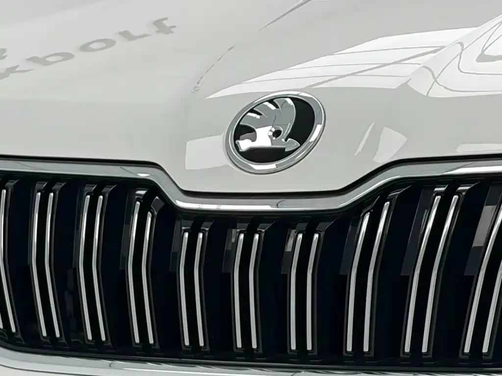 Skoda Kamiq 2022 — фото 11
