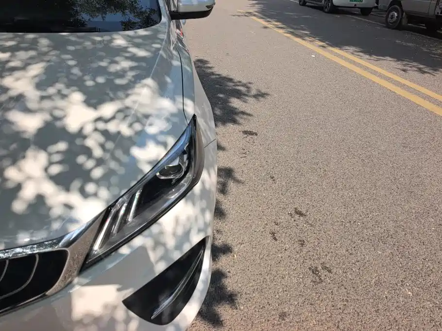 Geely Binrui 2018