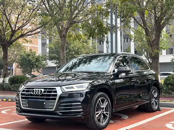 Audi Q5L 2019