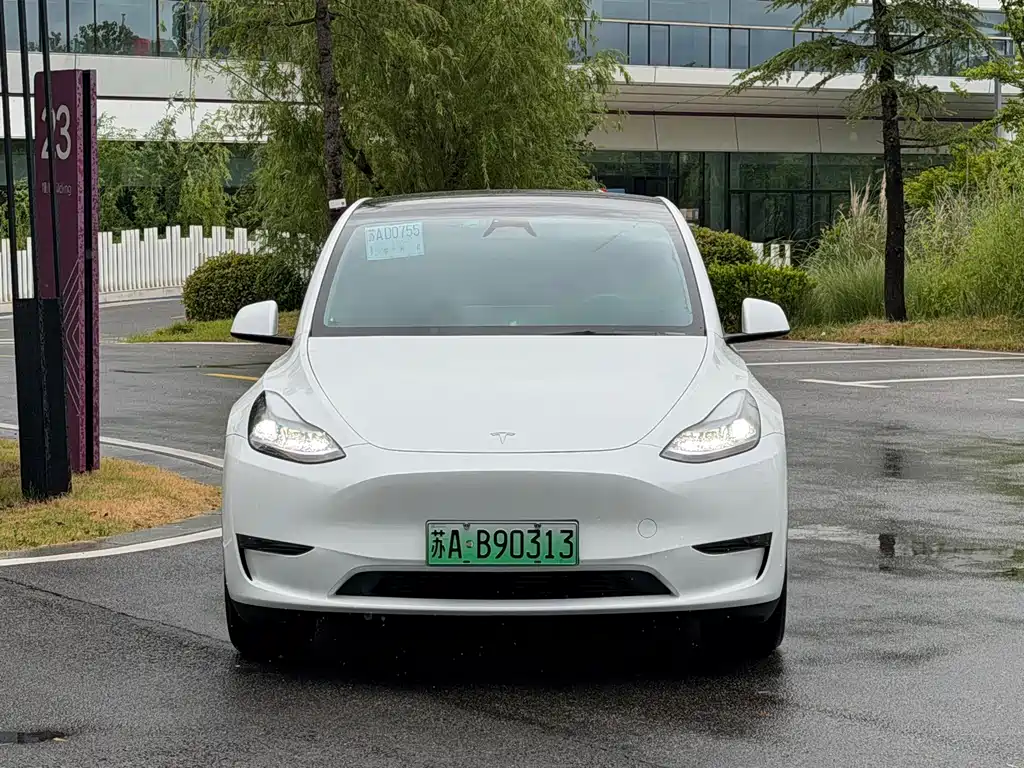 Tesla Model Y 2024 — фото 2