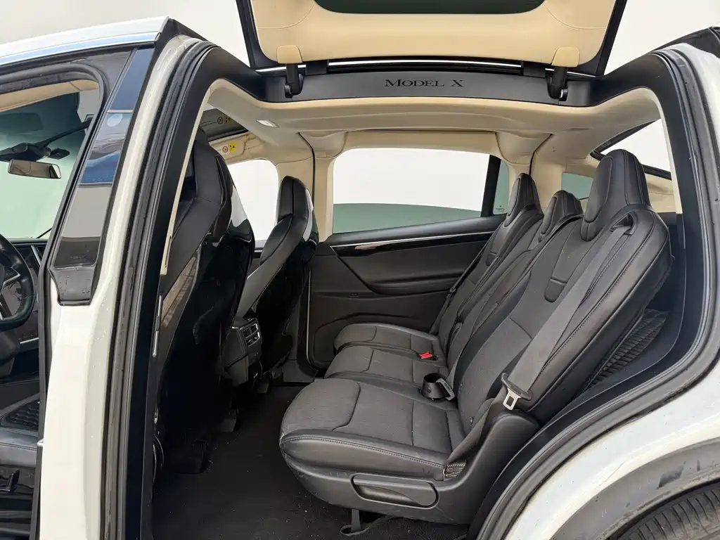 Tesla Model X 2017 — фото 10