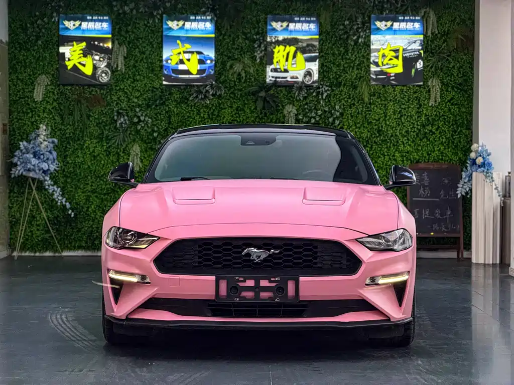 Ford Mustang 2019 — фото 2