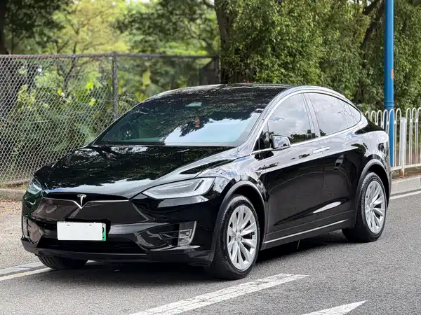 Tesla Model X 2019