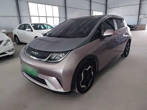 BYD Dolphin 2022