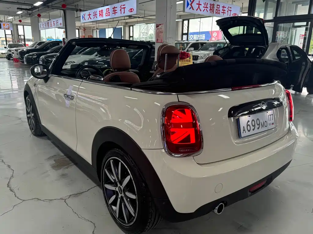 MINI MINI 2019