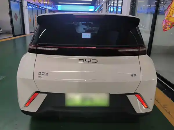 BYD Seagull 2024